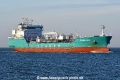 Golden Palm JG-300926-2.jpg