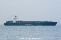 Ever Golden OS-211107-04.jpg