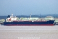Yas TL-280325-1.jpg