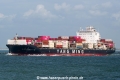 YM Credibility SH-250525-01.jpg