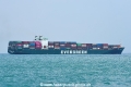 Ever Dynamic OS-191019-06.jpg