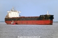Xin Hai Tong 802 TJ-130625-0012.jpg
