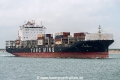 YM Credibility SH-260125-01.jpg