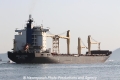 Hong Leopard RV-010712-06.jpg