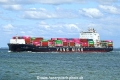 YM Continuity (LW-040525-1).jpg