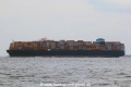 Maersk Candor (MS-090423-04).jpg