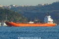 Letfallah 1 (OK-130108-1).jpg
