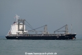 Glory Dynasty OS-041022-02.jpg