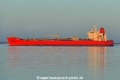 Zandolie (KK-040425-1).jpg