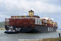 MSC Avni OS-110318-18.jpg