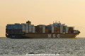 MSC Avni (KK-030618-2).jpg