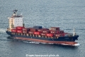 Halcyon HK-081223-1.jpg