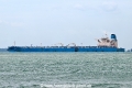Halcyon OS-231025-02.jpg