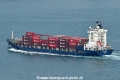 Halcyon HK-031223.jpg