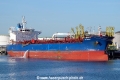 NH Erle SH-120522-01.jpg