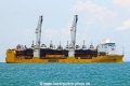 Happy Star (MS-090424-13).jpg