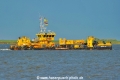 Hebo-Cat 7 (KK-310825-1).jpg