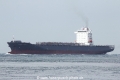 Hammonia Calabria (MS-231016-02).jpg