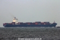 Hammonia Sapphire (MS-240815-01).jpg