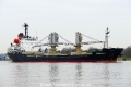 Harmony S (OK-050416-0).jpg