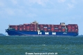 HMM Green (MS-060825-12).jpg