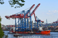 Zhen Hua 26 090520-03.jpg