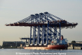 Zhen Hua 26 070813-01.jpg