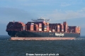 Barzan JG-131122-2.jpg