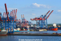 Zhen Hua 26 090520-10.jpg