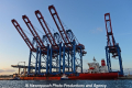 Zhen Hua 26 080813-55.jpg