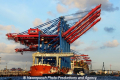 Zhen Hua 26 080813-45.jpg