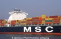 MSC Flaminia Detail 29303.jpg