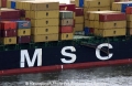 MSC Logo 20804.jpg