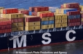 MSC-Logo 26504.jpg