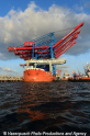 Zhen Hua 26 080813-41.jpg