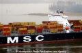 MSC Alessia Detail 30103.jpg