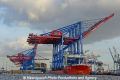 Zhen Hua 26 080813-25.jpg