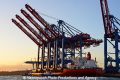 Zhen Hua 26 080813-57.jpg