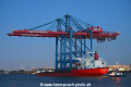 Zhen Hua 26 040520-12.jpg