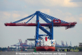 Zhen Hua 26 060813-40.jpg