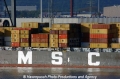 MSC Logo 17505.jpg