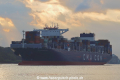 CMA CGM Argentina JP-100819-03.jpg