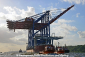 Zhen Hua 26 080813-08.jpg