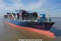 CMA CGM Argentina KH-230420-4.jpg