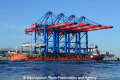 Zhen Hua 26 070813-06.jpg