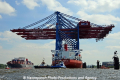 Zhen Hua 26 060813-30.jpg