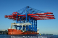 Zhen Hua 26 070813-05.jpg