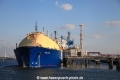 Wilgas (JS-030914-03).jpg