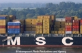 MSC Logo 23704.jpg