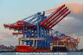 Zhen Hua 26 080813-58.jpg